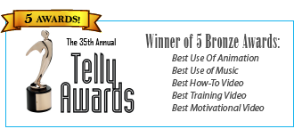 HR Avatar Wins Telly Award