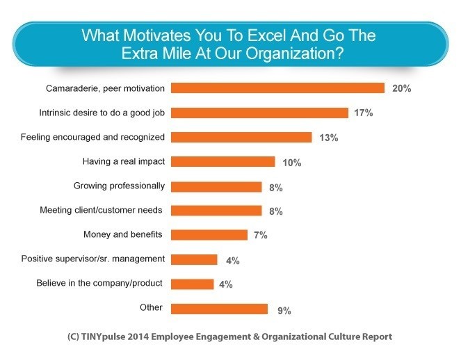 What Motivates You to Excel
